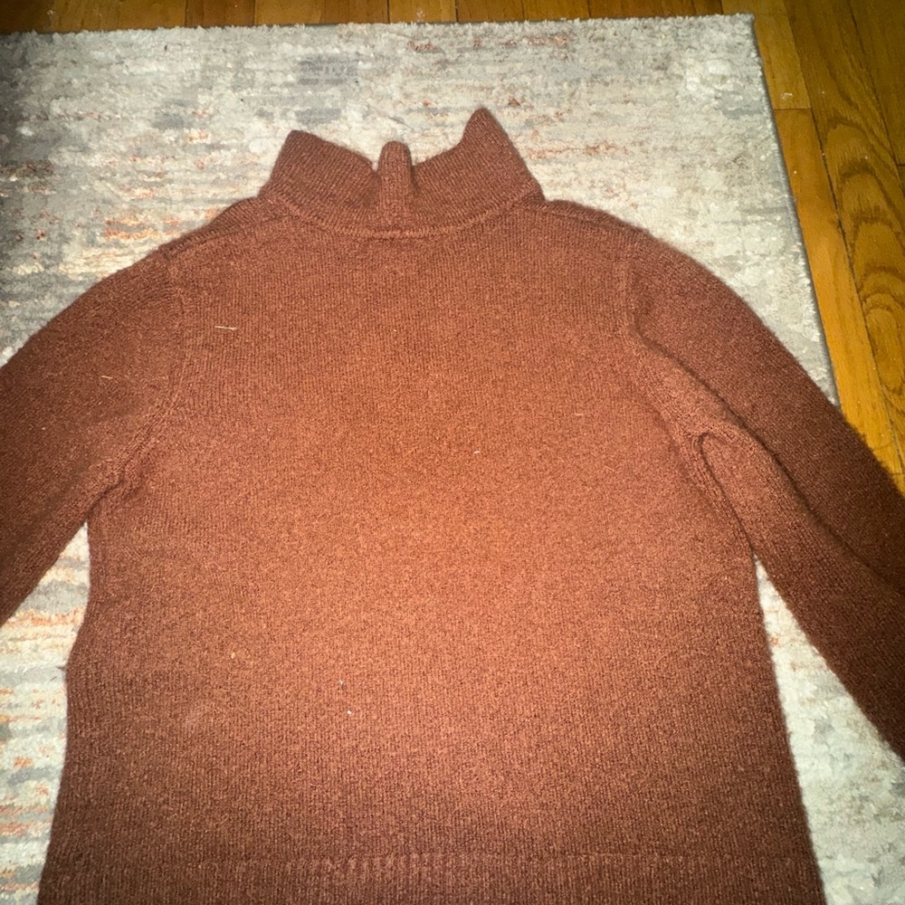 Warm Brown Kids Turtleneck Sweater